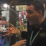IPCPR 2015 Interview: Hamlet Paredes