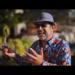 Cuban Cigars Limitadas from 2008-2017